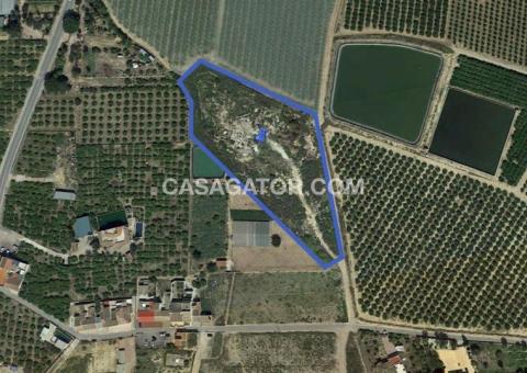 Land with 0 bedrooms and 0 bathrooms in Los Montesinos, Alicante