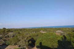 Apartament compra Guardamar del Segura Alicante, Spain