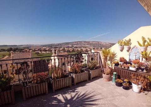 Maison de ville for sale Algorfa Alicante, Spain