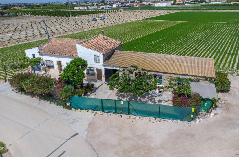 Finca, Orihuela, Alicante
