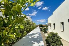 Villa for sale Benijófar Alicante, Spain