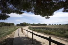 Apartament for sale Torrevieja Alicante, Spain