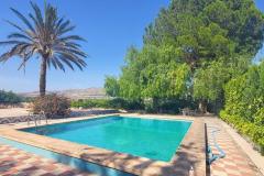 Finca for sale Novelda Alicante, Spain