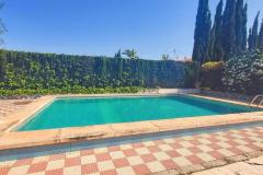 Finca for sale Novelda Alicante, Spain