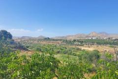 Finca for sale Novelda Alicante, Spain