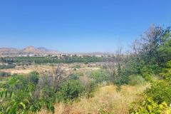 Finca for sale Novelda Alicante, Spain