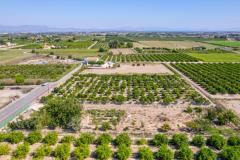 Land zu verkaufen Formentera del Segura Alicante, Spain