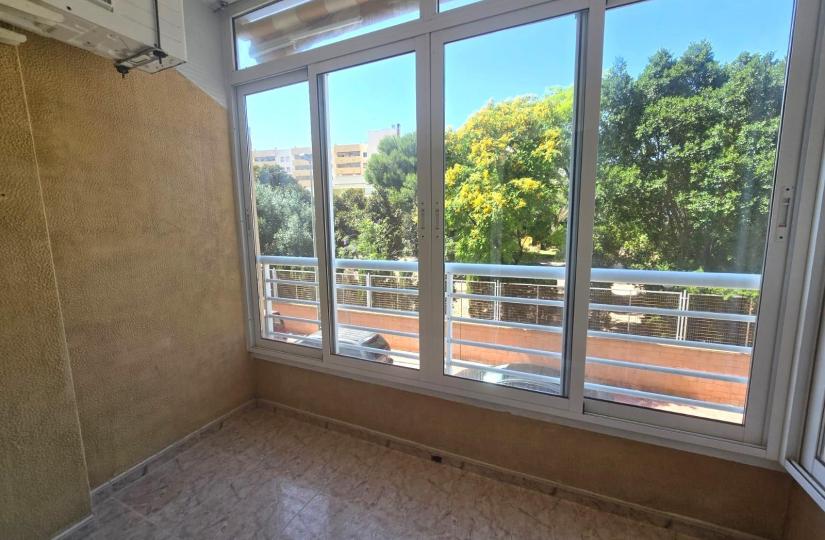 Apartment, Torrevieja, Alicante