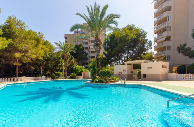 Apartment, Orihuela Costa, Alicante