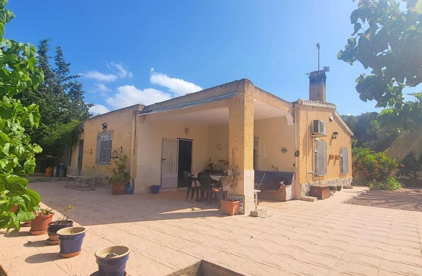 Finca, Hondon de las Nieves, Alicante