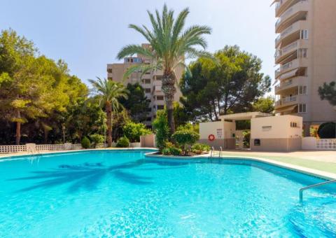 Apartment with 1 bedrooms and 1 bathrooms in Orihuela Costa, Alicante