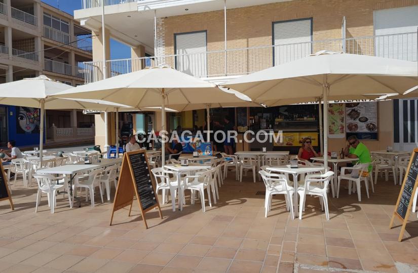 Commercial with 0 bedrooms and 0 bathrooms in Guardamar del Segura, Alicante